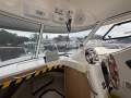 Arvor 250AS