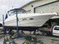 Riviera M290 Sports Cruiser