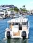 Cougar Cat 3200
