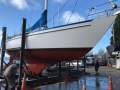 Lidgard 38