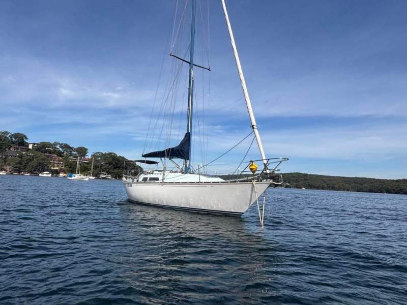 C&C Yachts 36
