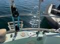 C&C Yachts 36
