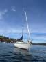 C&C Yachts 36