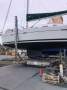 Beneteau 393 - Roomy 2 Cabin version "Sancerre"