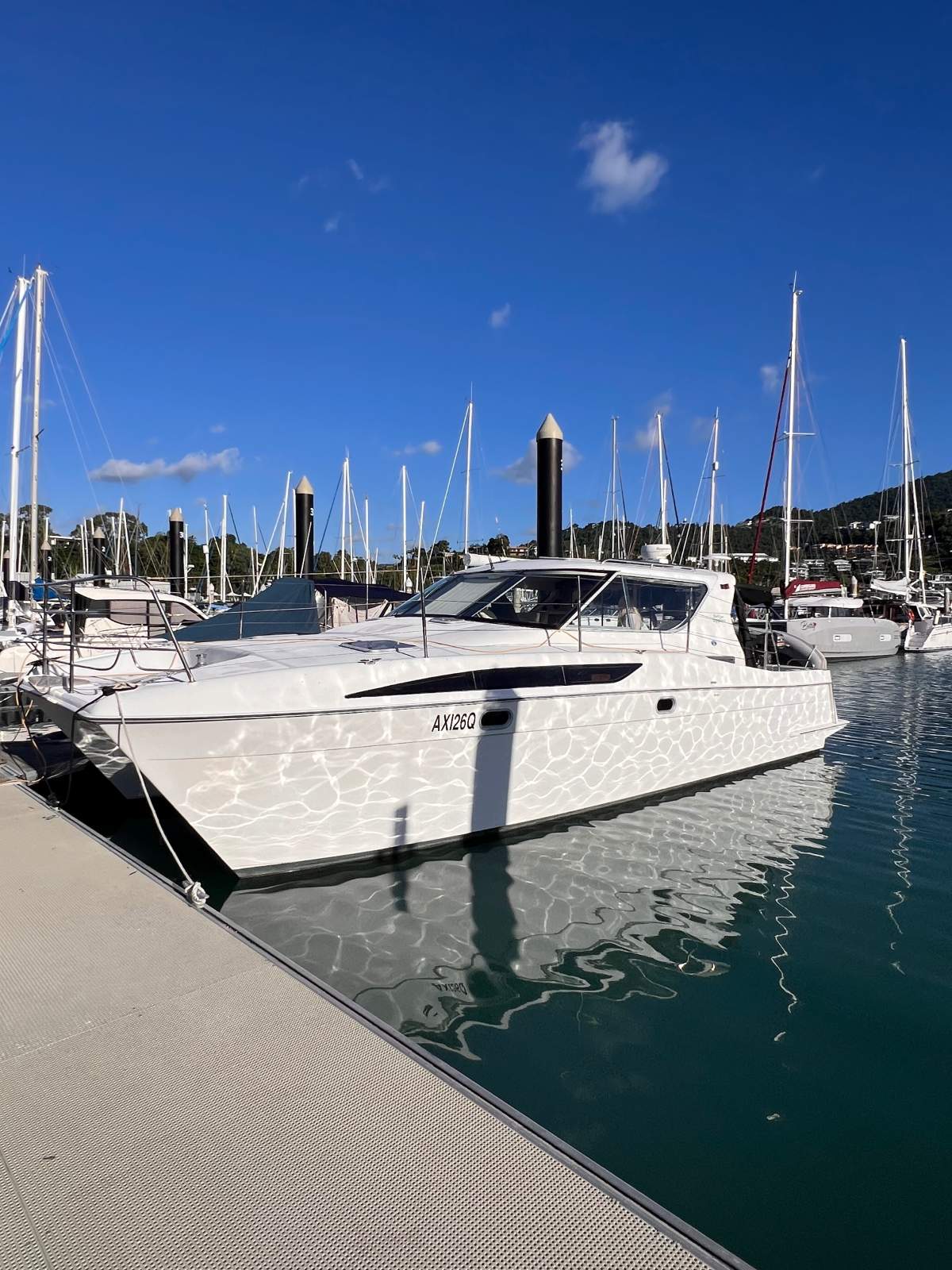 Haines Signature Powercat 3600 Express Sports Cat