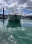 Haines Signature Powercat 3600 Express Sports Cat