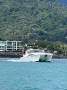 Haines Signature Powercat 3600 Express Sports Cat