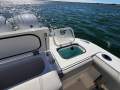 Pursuit DC266