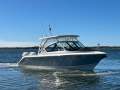 Pursuit DC266