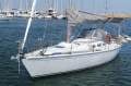 Northshore 380 Sports Performance Cruiser