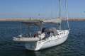 Northshore 380 Sports Performance Cruiser