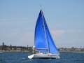 Dufour 36E Performance