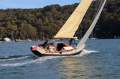 Ringle 39