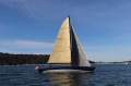 Ringle 39