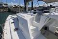 Lagoon 440