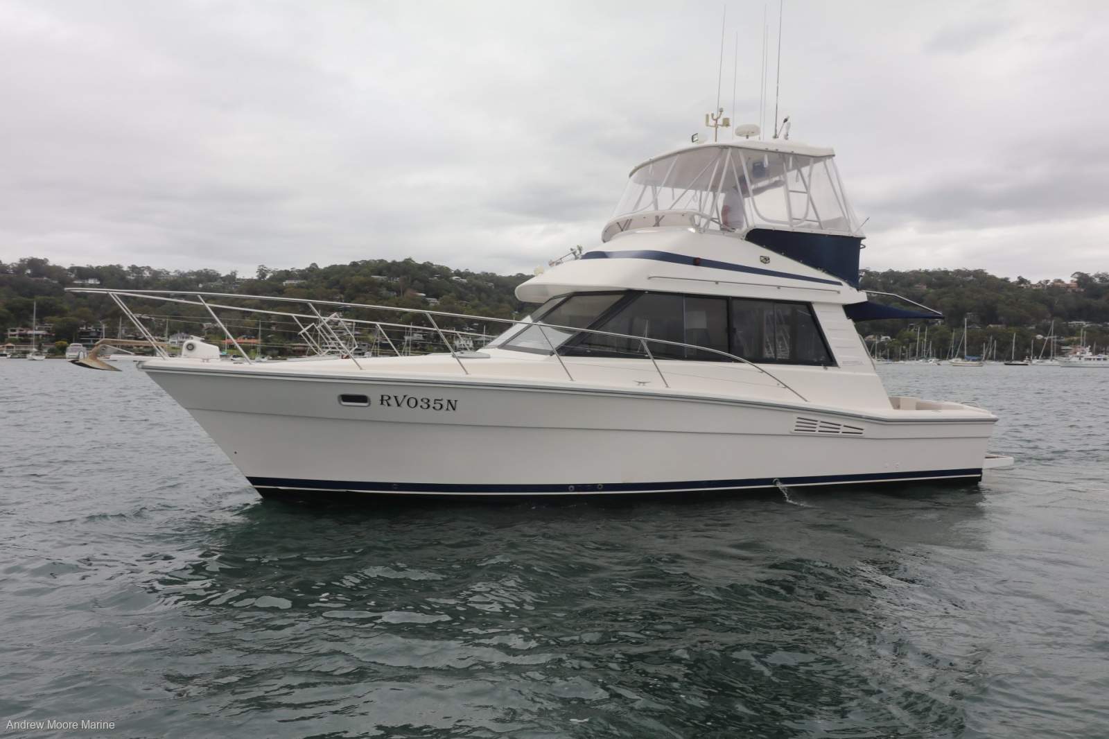 Riviera 35 Blue Water