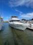 Bayliner 4387 Cruising Yacht FB Aft Cab