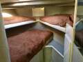 Bertram Caribbean 42