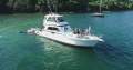 Riviera 48 Platinum Enclosed Flybridge With SUCCESSFUL CHARTER BUSINESS