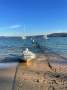Riviera 45 Open Flybridge