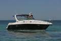 Mustang 3800 LE Sportscruiser - New engines installed 2012