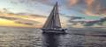 South Coast 36 - Superb Well-Equipped Offshore Cruiser