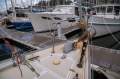 Zeston 36 EXCELLENT CONDITION WITH MANY UPGRADES