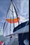 Leopard Catamarans 38:Parasail in action