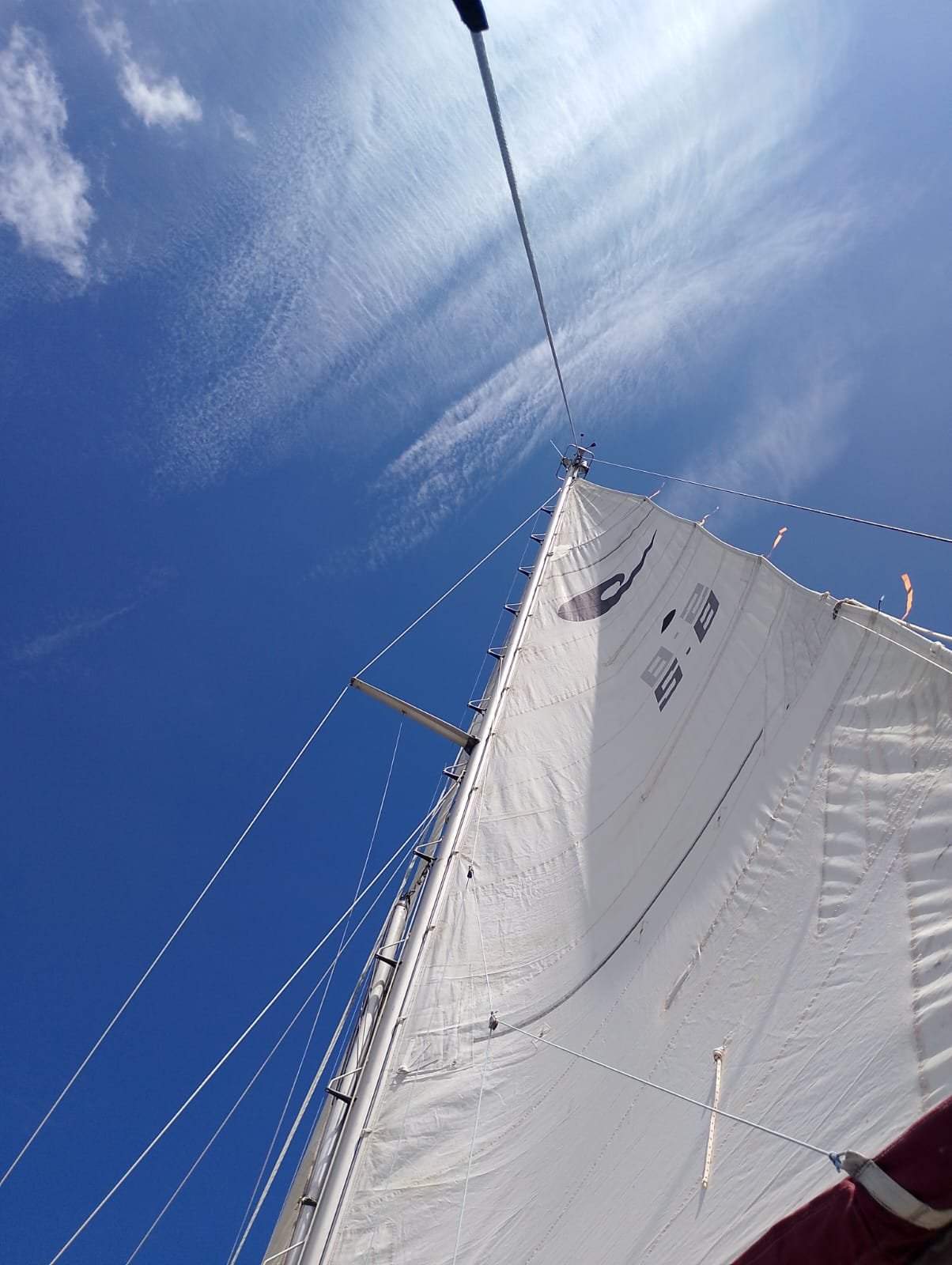 Allegro 33