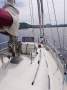 Allegro 33