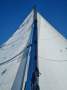 Wavelength 780 Trimaran - Ultimate Adventure Yacht
