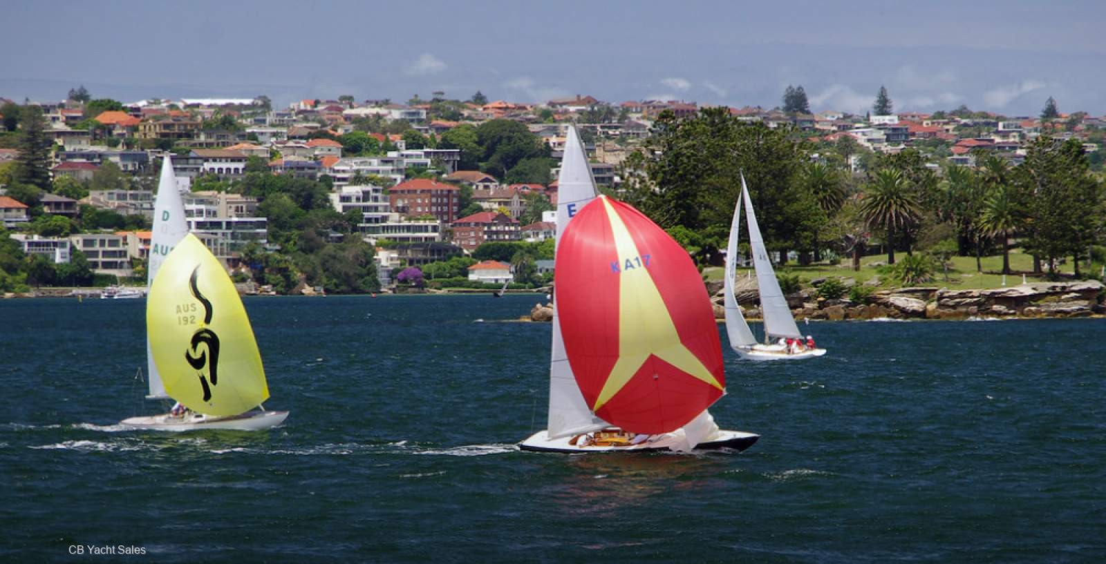 Etchells 30 Modified Etchells - Harbour Racer