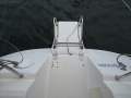Harmony 42
