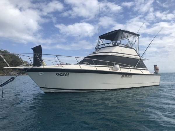 Dominator 36 Flybridge Cruiser