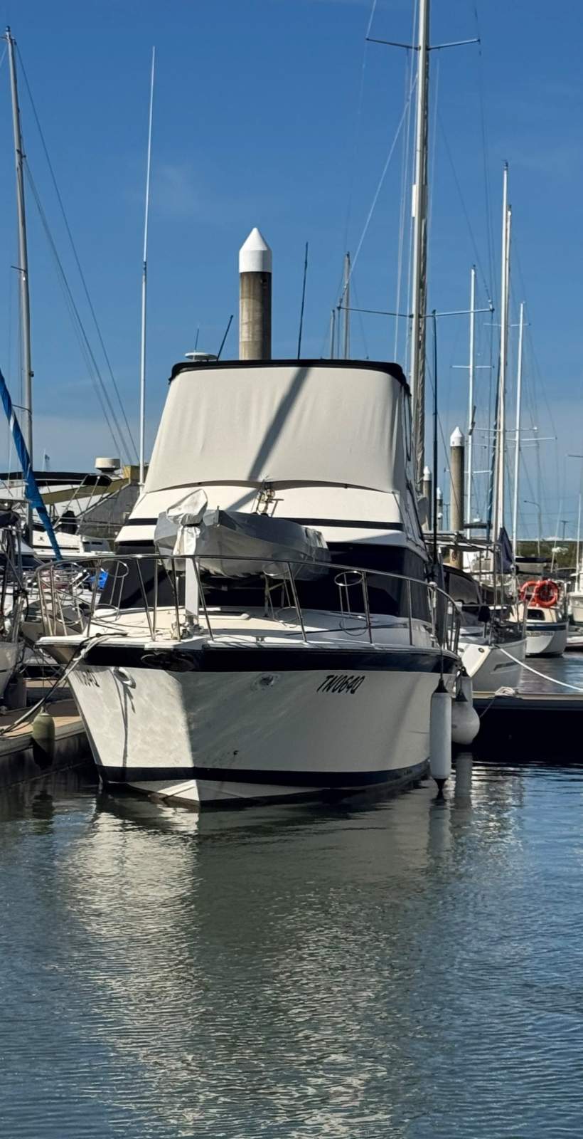 Dominator 36 Flybridge Cruiser