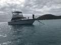 Dominator 36 Flybridge Cruiser