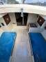J Boats J/24 J24 Fiberglass Yacht Race or Cruise Cheap Sydney