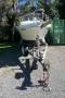 Sea Ray 240 Sundancer