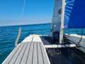 Windrush 600