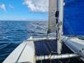 Windrush 600
