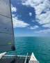 Windrush 600