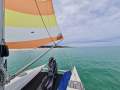 Windrush 600