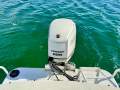 Bertram Caribbean 235 Crusader