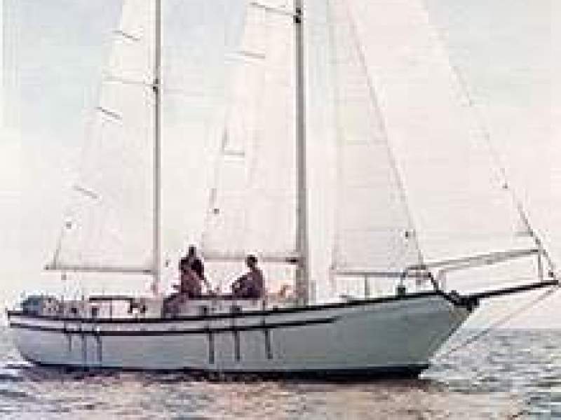 Spray 40