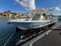 Cobia 240DC