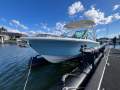Cobia 240DC