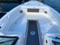 Cobia 240DC