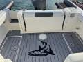 Cobia 240DC