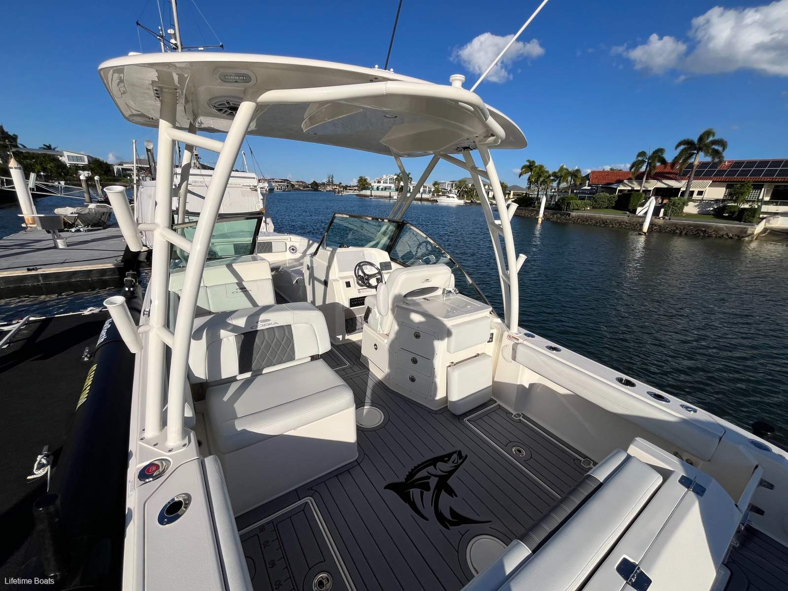 Cobia 240DC