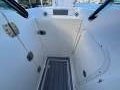 Cobia 240DC